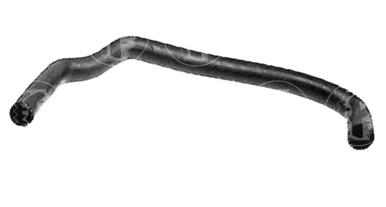 CAÑO